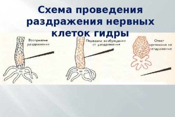 Кракен тор kraken014 com