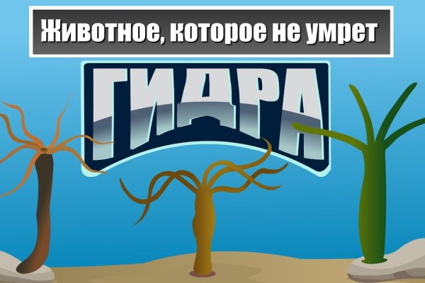 Кракен кз